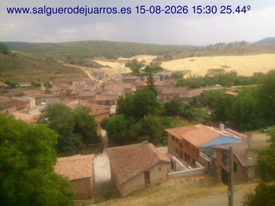 Recorre hacia atrás las últimas 24 horas
