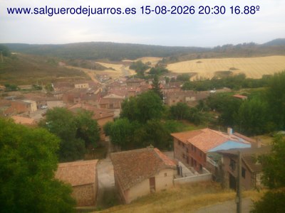 Recorre hacia atrás las últimas 24 horas

