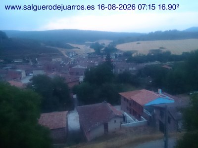 Recorre hacia atrás las últimas 24 horas
