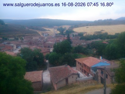 Recorre hacia atrás las últimas 24 horas
