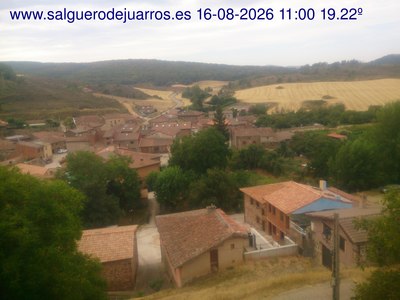 Recorre hacia atrás las últimas 24 horas
