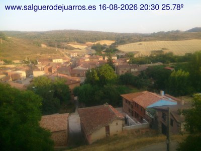 Recorre hacia atrás las últimas 24 horas
