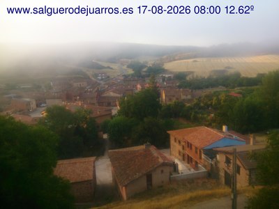 Recorre hacia atrás las últimas 24 horas
