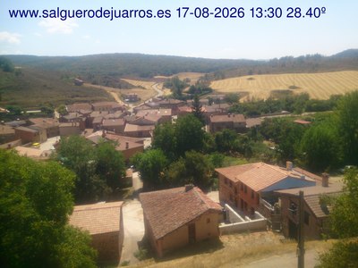 Recorre hacia atrás las últimas 24 horas
