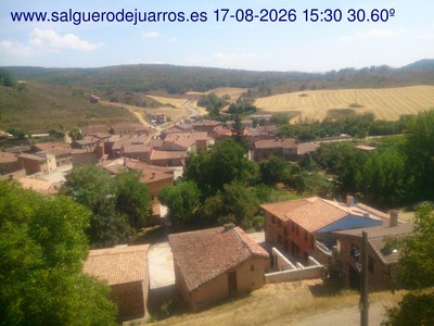 Recorre hacia atrás las últimas 24 horas
