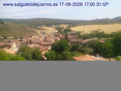 Recorre hacia atrás las últimas 24 horas
