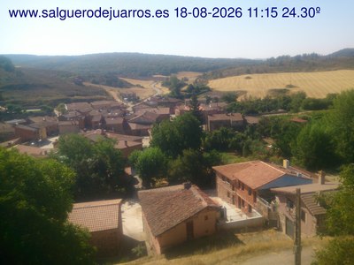 Recorre hacia atrás las últimas 24 horas
