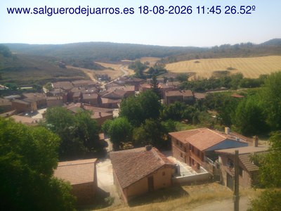 Recorre hacia atrás las últimas 24 horas

