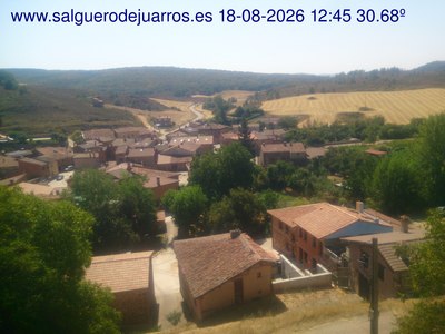 Recorre hacia atrás las últimas 24 horas
