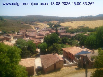 Recorre hacia atrás las últimas 24 horas
