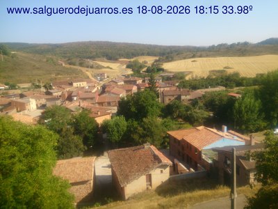 Recorre hacia atrás las últimas 24 horas
