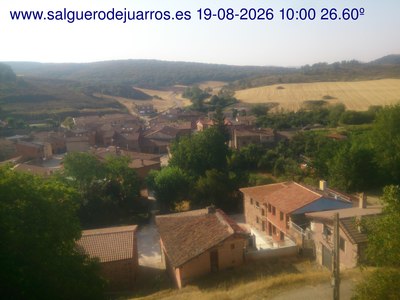 Recorre hacia atrás las últimas 24 horas
