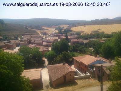 Recorre hacia atrás las últimas 24 horas
