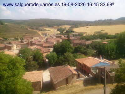 Recorre hacia atrás las últimas 24 horas
