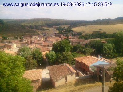 Recorre hacia atrás las últimas 24 horas
