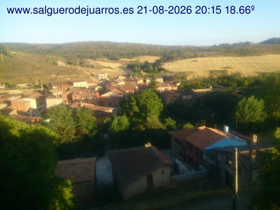 Recorre hacia atrás las últimas 24 horas

