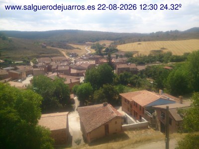Recorre hacia atrás las últimas 24 horas
