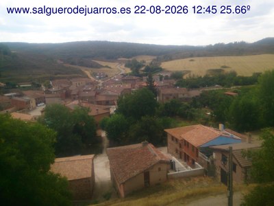 Recorre hacia atrás las últimas 24 horas
