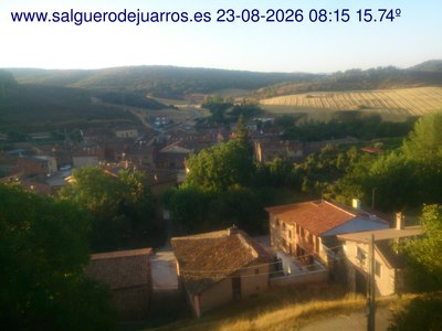 Recorre hacia atrás las últimas 24 horas

