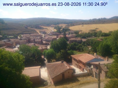 Recorre hacia atrás las últimas 24 horas
