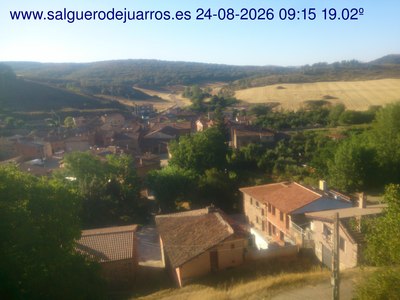 Recorre hacia atrás las últimas 24 horas
