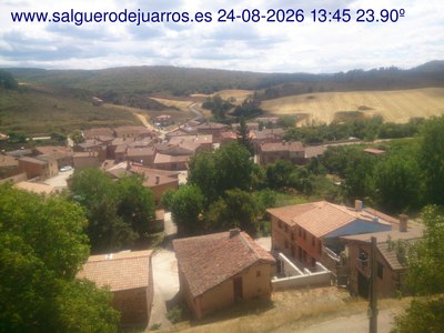 Recorre hacia atrás las últimas 24 horas
