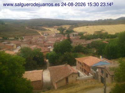 Recorre hacia atrás las últimas 24 horas
