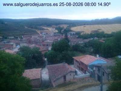 Recorre hacia atrás las últimas 24 horas
