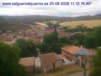 Recorre hacia atrás las últimas 24 horas
