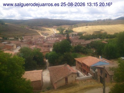 Recorre hacia atrás las últimas 24 horas
