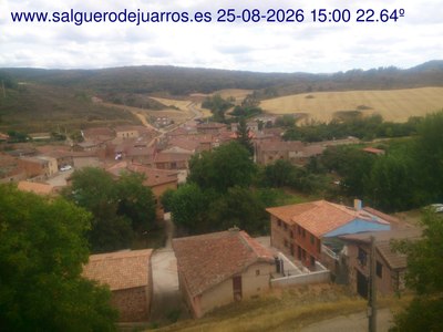 Recorre hacia atrás las últimas 24 horas
