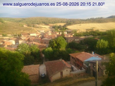 Recorre hacia atrás las últimas 24 horas
