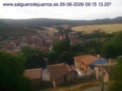 Recorre hacia atrás las últimas 24 horas
