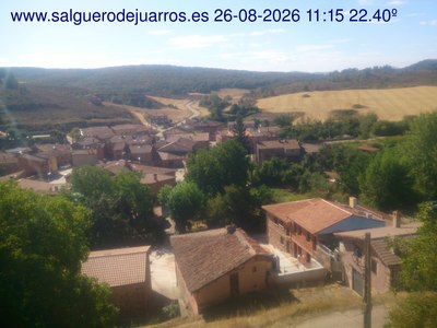 Recorre hacia atrás las últimas 24 horas
