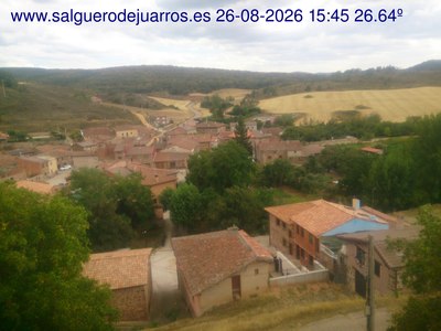Recorre hacia atrás las últimas 24 horas

