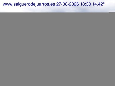 Recorre hacia atrás las últimas 24 horas
