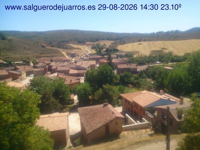 Recorre hacia atrás las últimas 24 horas
