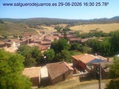 Recorre hacia atrás las últimas 24 horas
