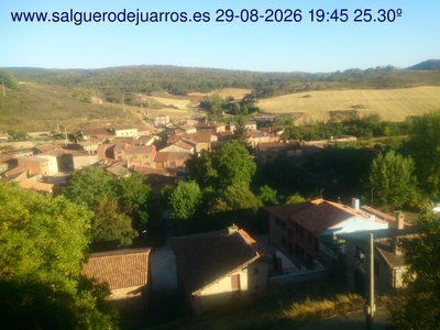 Recorre hacia atrás las últimas 24 horas
