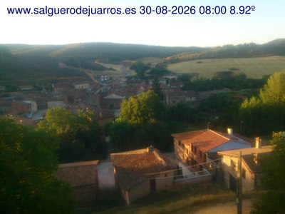 Recorre hacia atrás las últimas 24 horas
