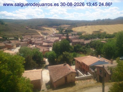 Recorre hacia atrás las últimas 24 horas
