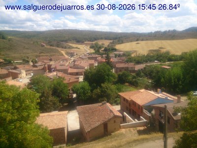 Recorre hacia atrás las últimas 24 horas
