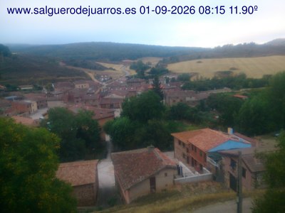 Recorre hacia atrás las últimas 24 horas
