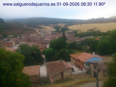 Recorre hacia atrás las últimas 24 horas
