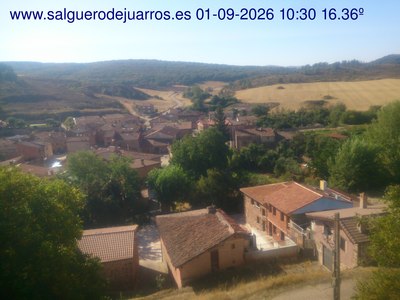 Recorre hacia atrás las últimas 24 horas
