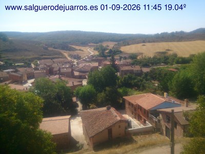 Recorre hacia atrás las últimas 24 horas
