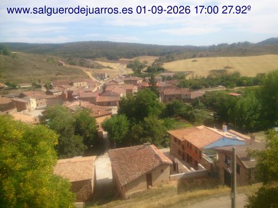 Recorre hacia atrás las últimas 24 horas
