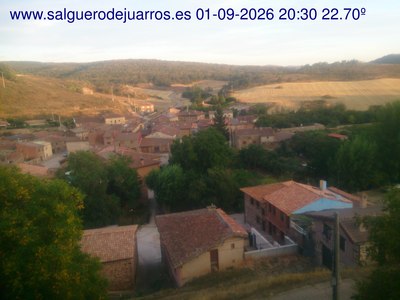 Recorre hacia atrás las últimas 24 horas
