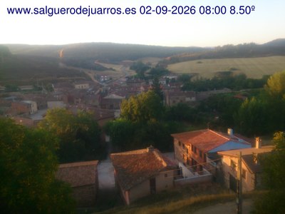Recorre hacia atrás las últimas 24 horas
