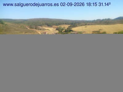 Recorre hacia atrás las últimas 24 horas
